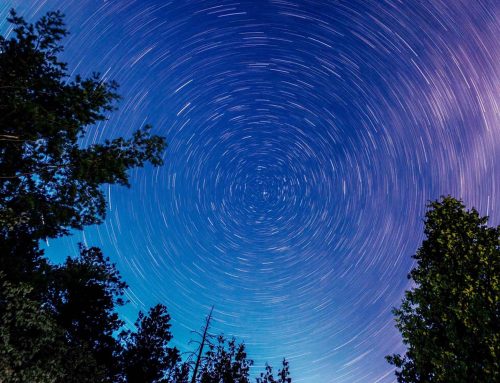 Personal Growth / Conscious Living